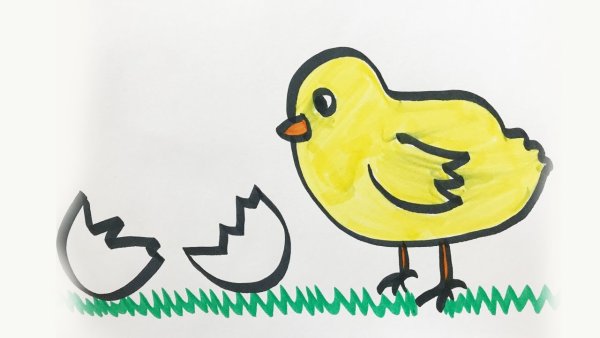 Балет невылупившихся цыплят рисунки детей