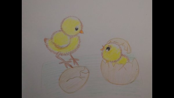 Цыпленок рисунок карандашом