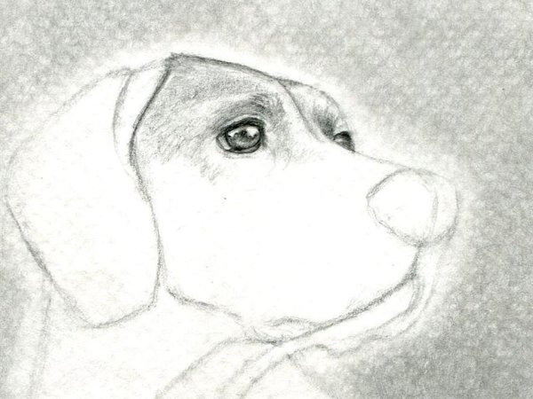 Рисунки простым карандашом