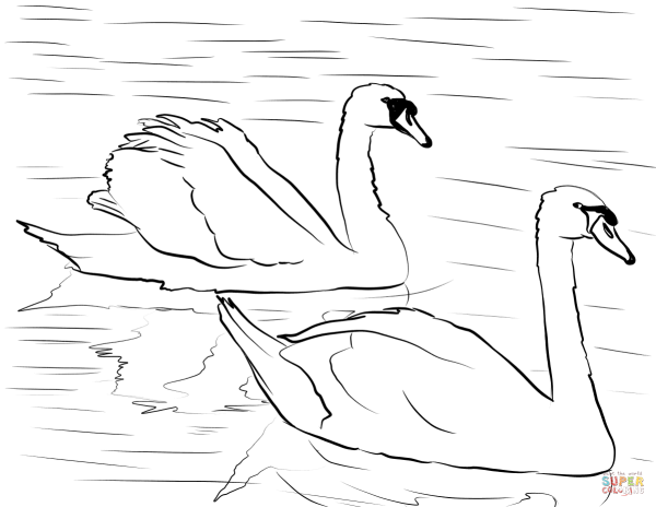 Птицы из красной книги России рисунки