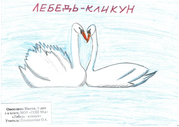 Рисование для детей лебедь