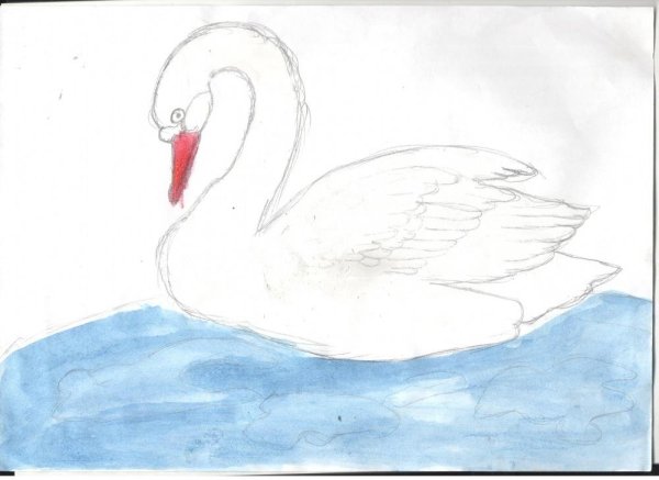 Лебедь кликун раскраска