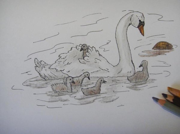 Рисование лебедя