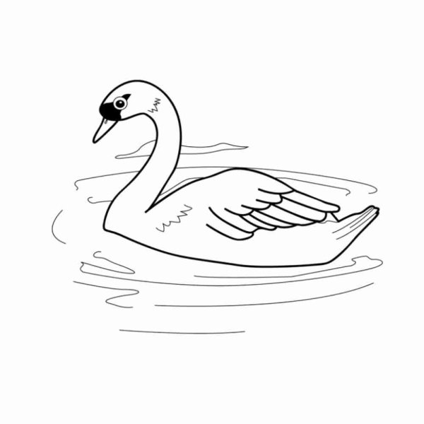 Как нарисовать лебедя поэтапно