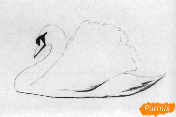 Лебедь рисунок