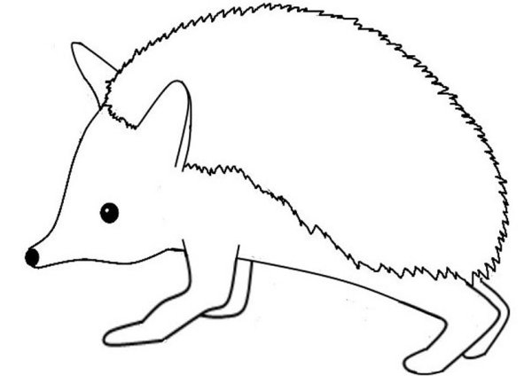 Поэтапное рисование ушастого ежа для детей