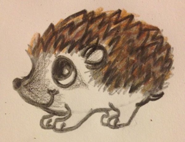 Ёжик для срисовки