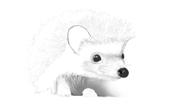 Ушастый Ежик рисунок