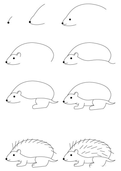 Еж карандашом