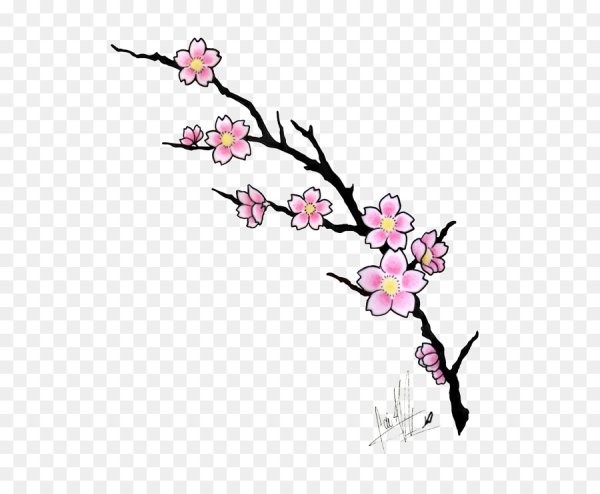 Нарисовать ветку Сакуры