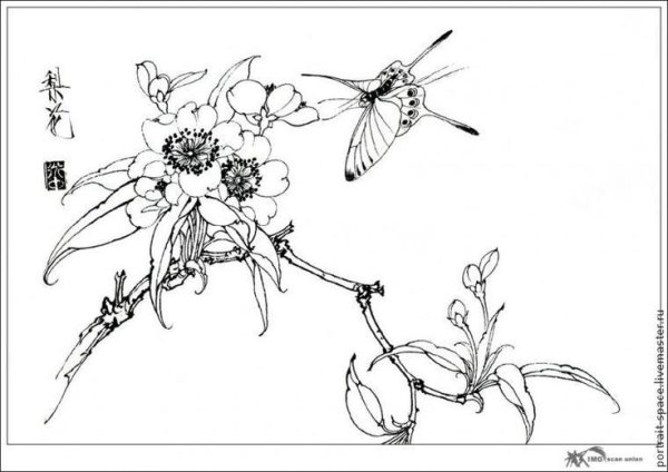 Раскраски в стиле китайской живописи