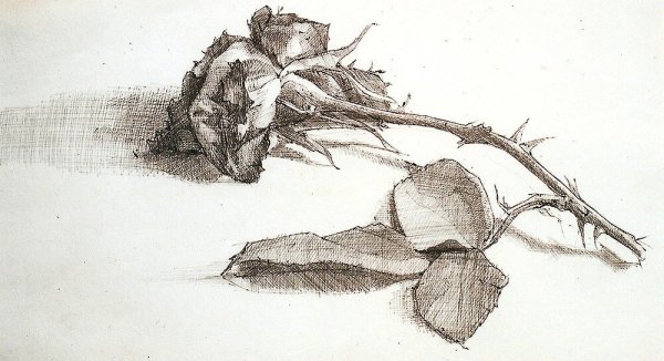 Наброски рисунков