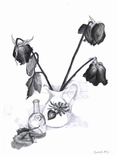 Рисунок розы карандашом для срисовки