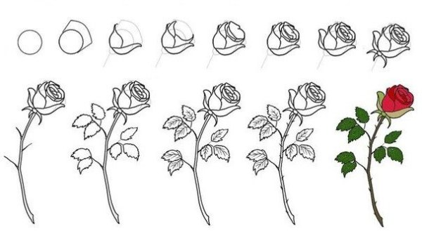 Увядшие черные цветы