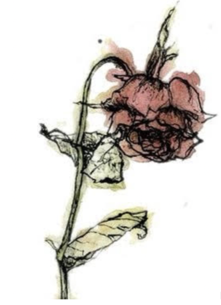 Увядший цветок эскиз