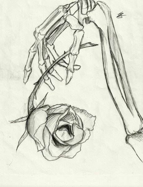 Роза в огне рисунок