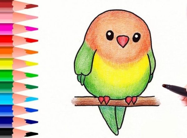 Рисунки цветные легкие