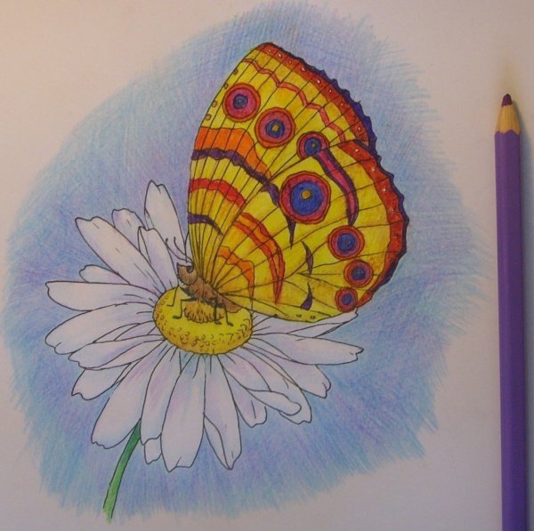 Картинки для срисовки цветные