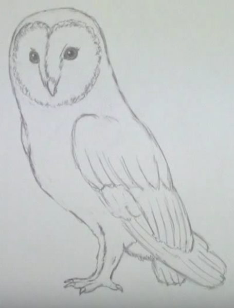 Рисунок Совы карандашом для срисовки 4 класс