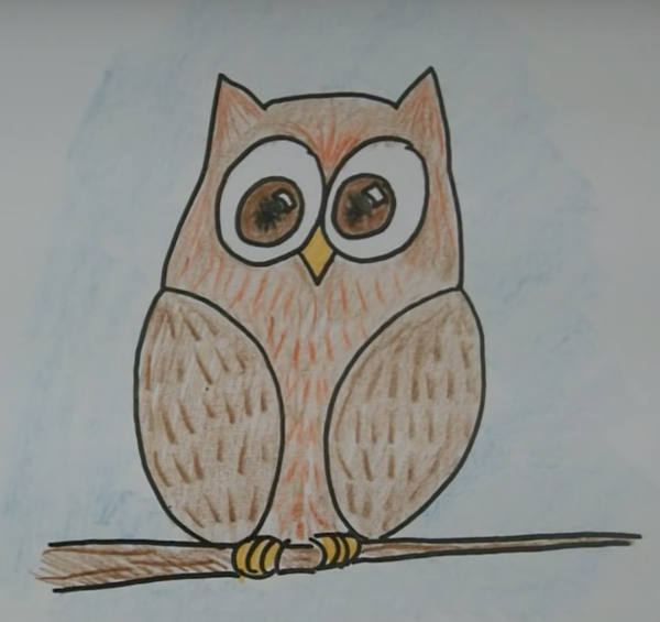 Сова рисунок для срисовки