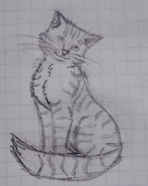 Котик карандашом легкий