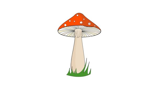 Поэтапное рисование гриба