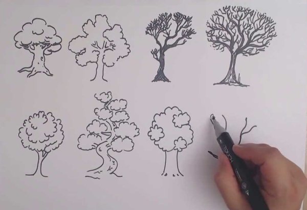 Поэтапное рисование деревьев и кустарников