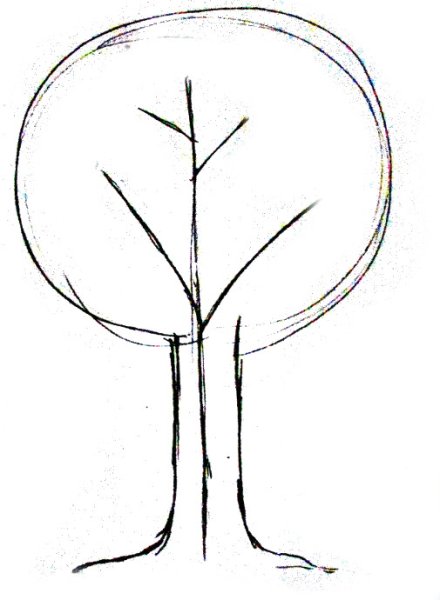 Этапы рисования дерева