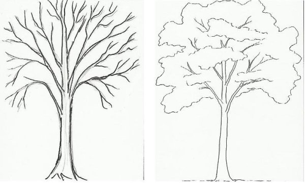 Лес карандашом