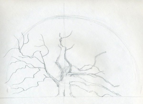 Рисунок дерево карандашом для срисовки