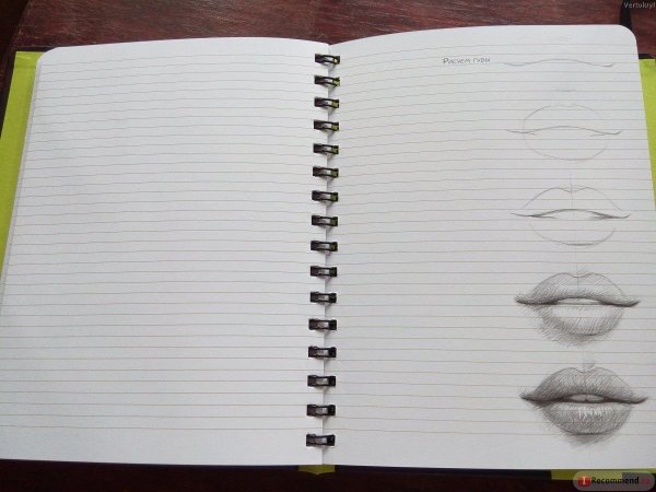 Рисунки для скетчбука лёгкие