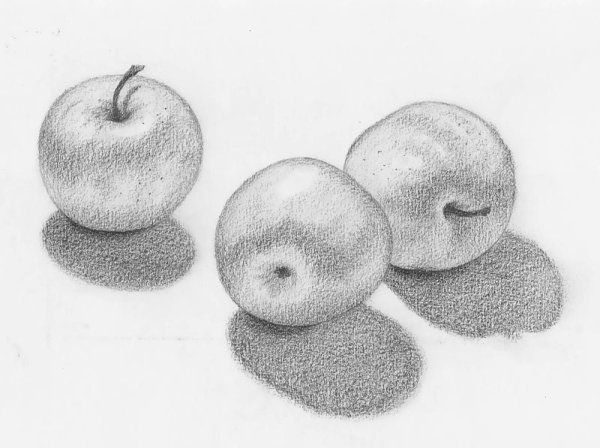 Натюрморт с тенью карандашом