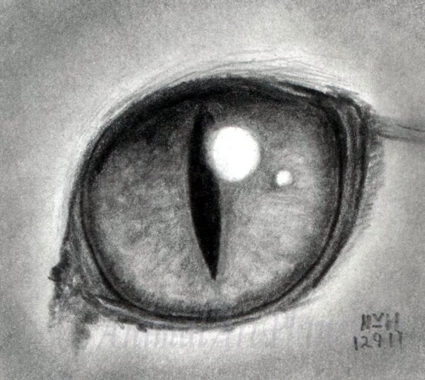 Кошачий глаз карандашом