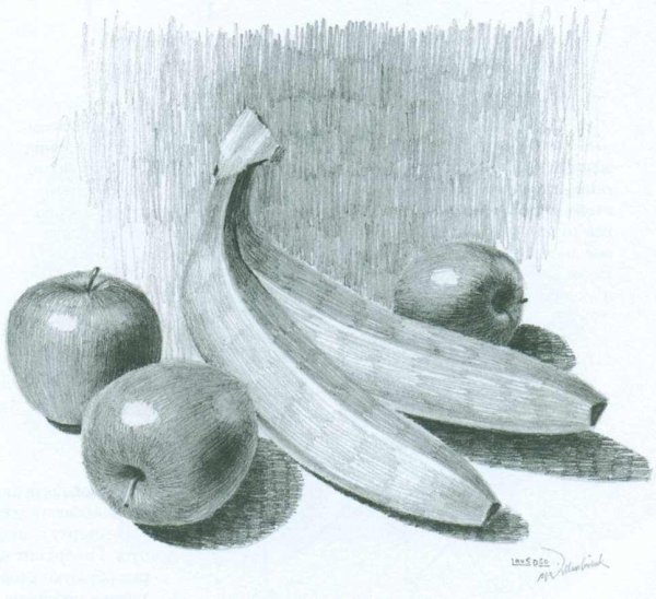 Наброски натюрмортов карандашом