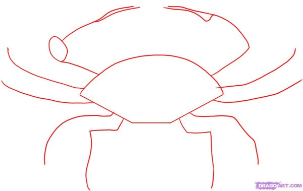 Краб карандашом