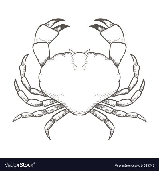 Как рисовать краба