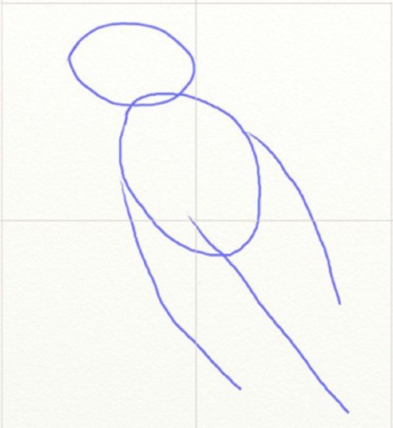 Поэтапное рисование дятла