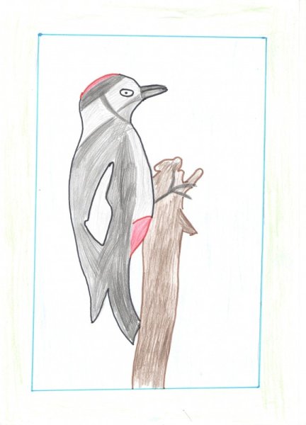 Поэтапное рисование дятла