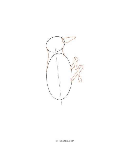 Поэтапное рисование дятла