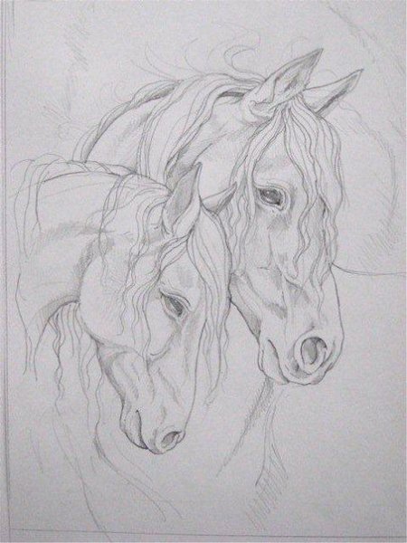 Рисунки животных карандашом