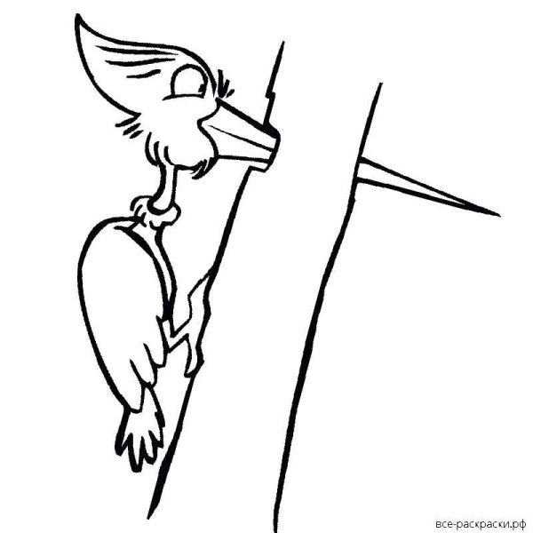 Рисование дятла