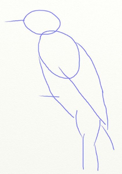 Поэтапное рисование дятла