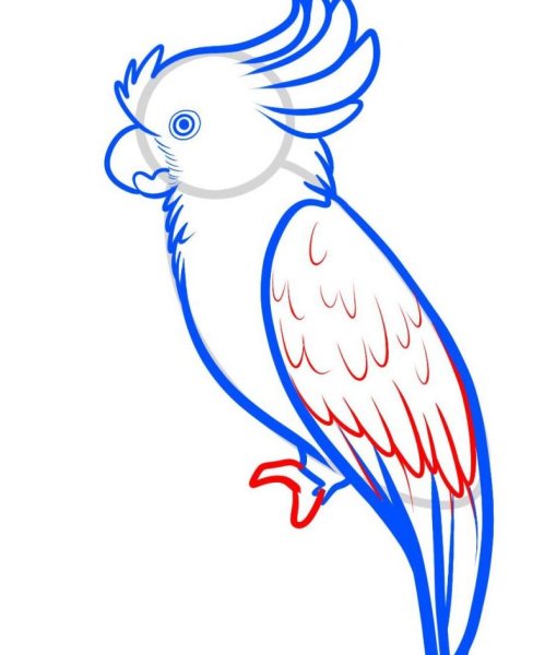 Попугай рисунок для детей
