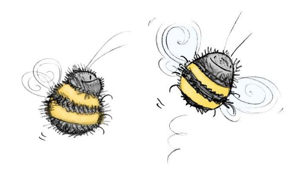 Рисунок пчелы для срисовки