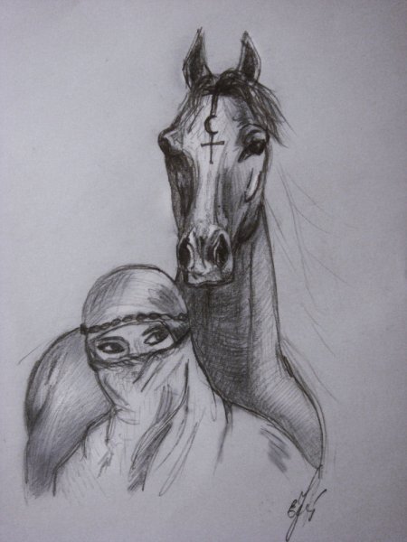 Арабская лошадь для срисовки