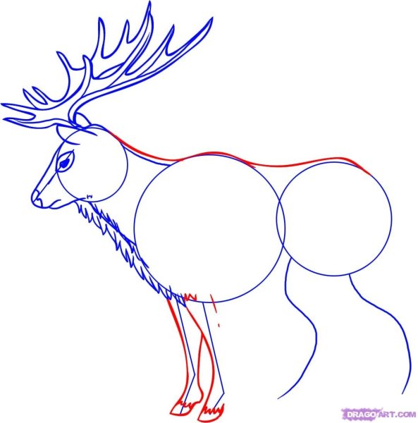 Поэтапное рисование оленя