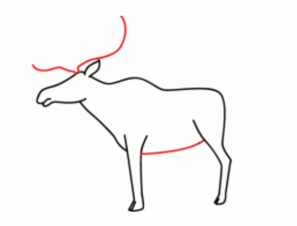 Пошаговый рисунок карандашом для детей лосенок