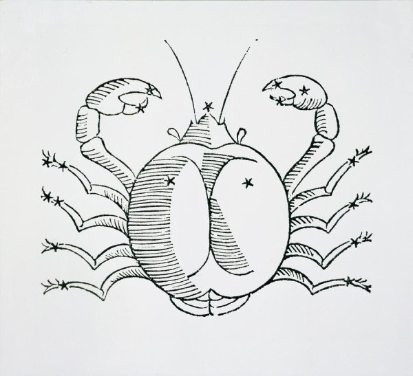 Краб Канцер рисунок 7 класс учебник биологии