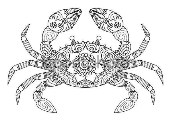 Раскраска антистресс краб