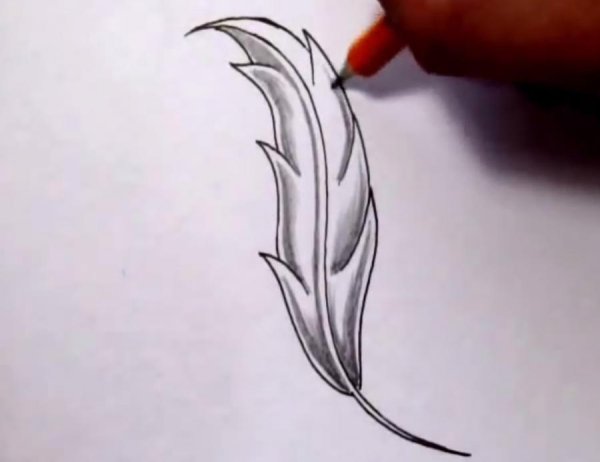 Рисунки для срисовки перо